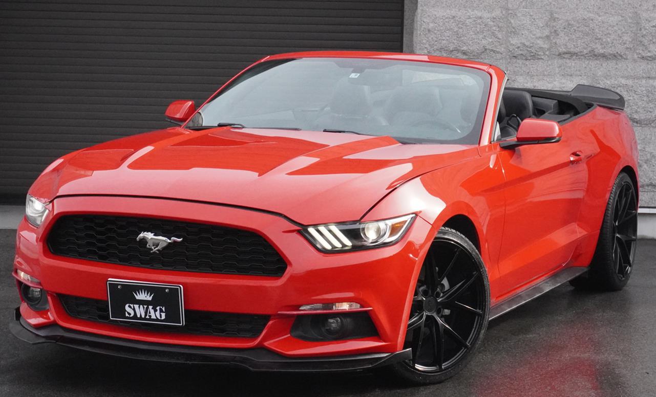 ～入庫情報～マスタング